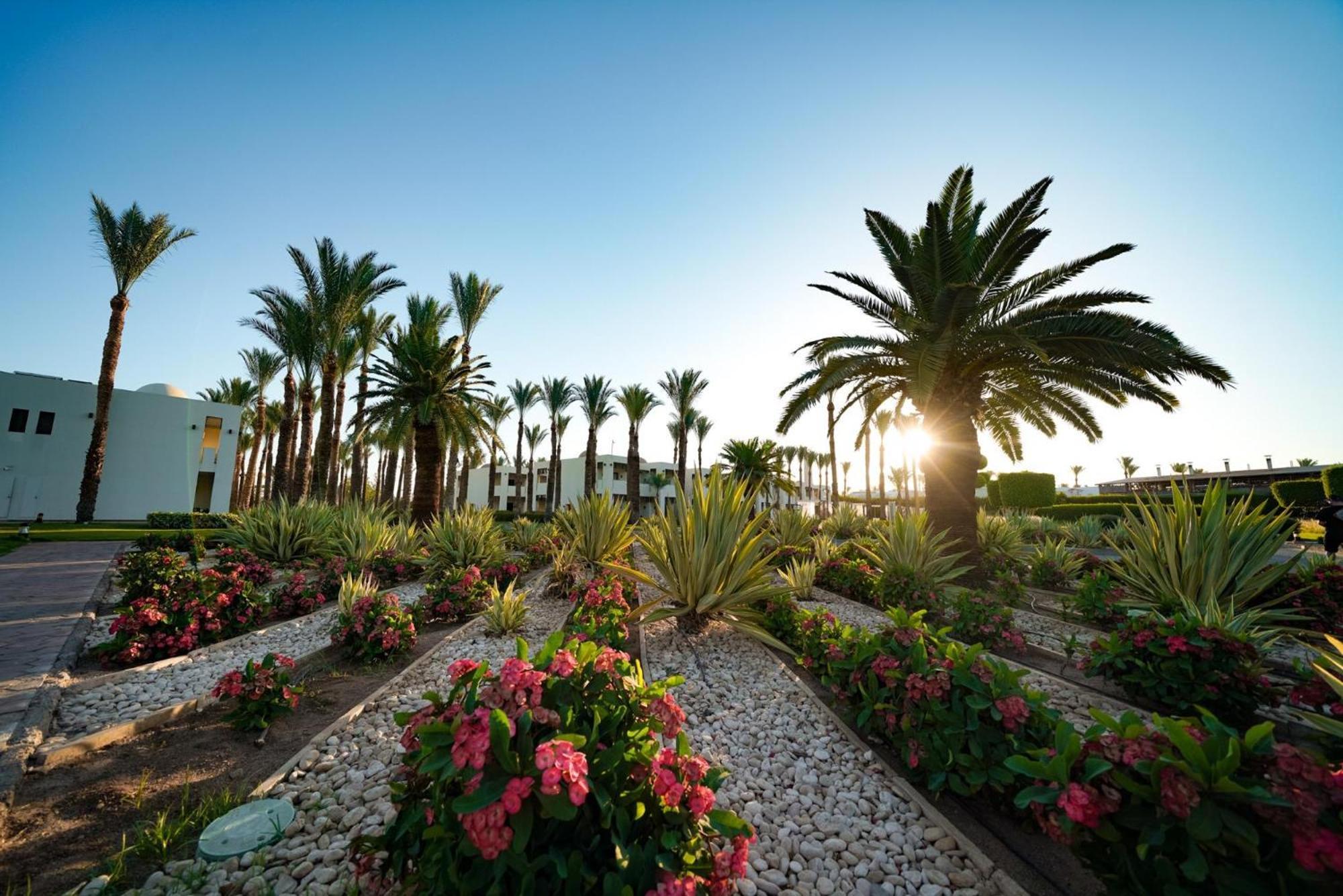 Sentido Reef Oasis Aqua Park Resort シャルム・エル・シェイク エクステリア 写真 The campus of the University of Patras